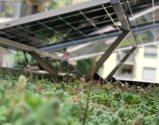 pv green roof detail