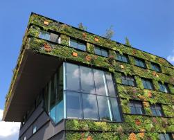 green wall facade modern building
